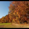 20071102_083